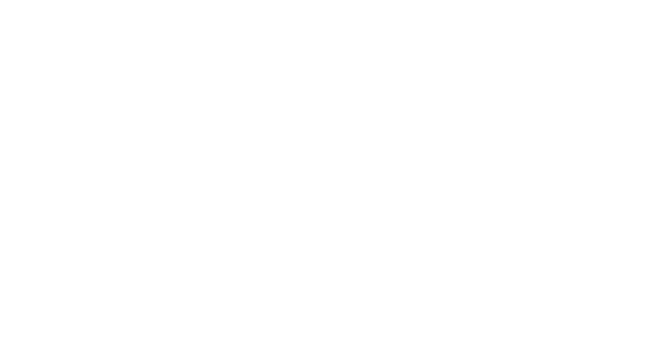 logo-diva-pdll